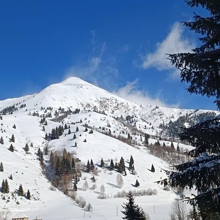 Pinetrees Lodge Plav Dış mekan fotoğraf
