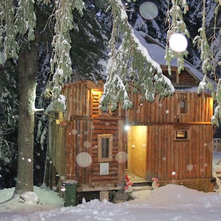 Pinetrees Lodge Plav Dış mekan fotoğraf