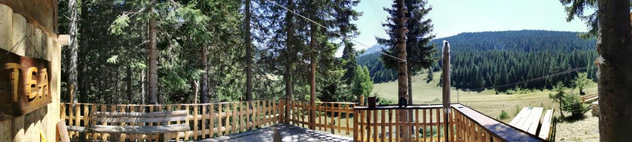 Pinetrees Lodge Plav Dış mekan fotoğraf
