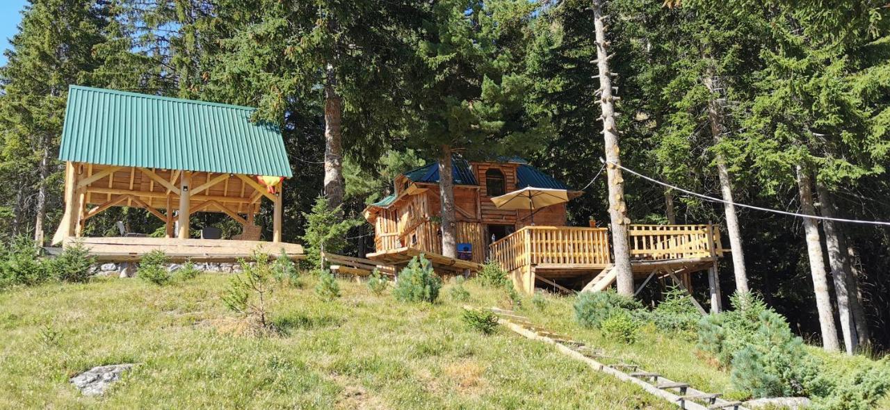 Pinetrees Lodge Plav Dış mekan fotoğraf