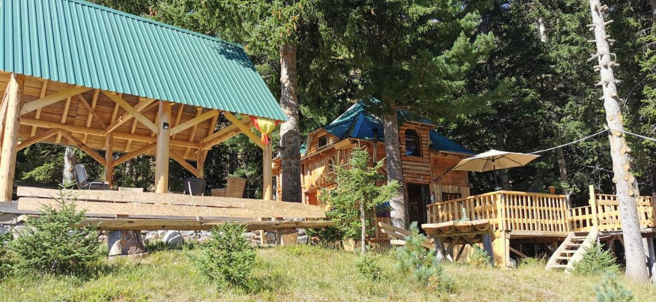 Pinetrees Lodge Plav Dış mekan fotoğraf