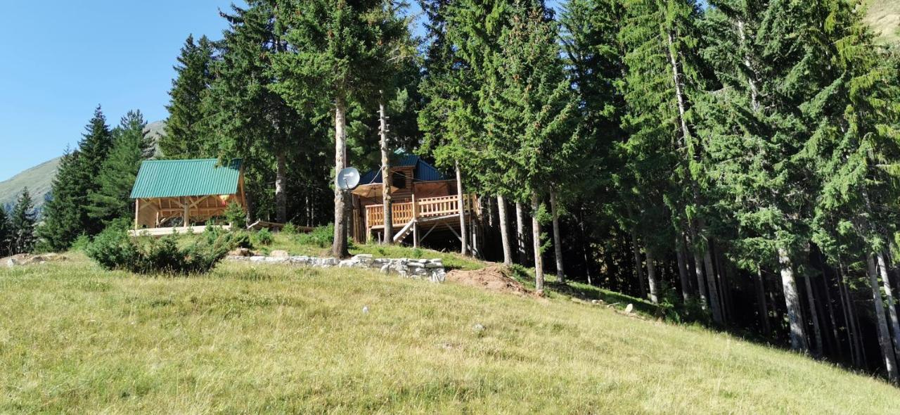Pinetrees Lodge Plav Dış mekan fotoğraf