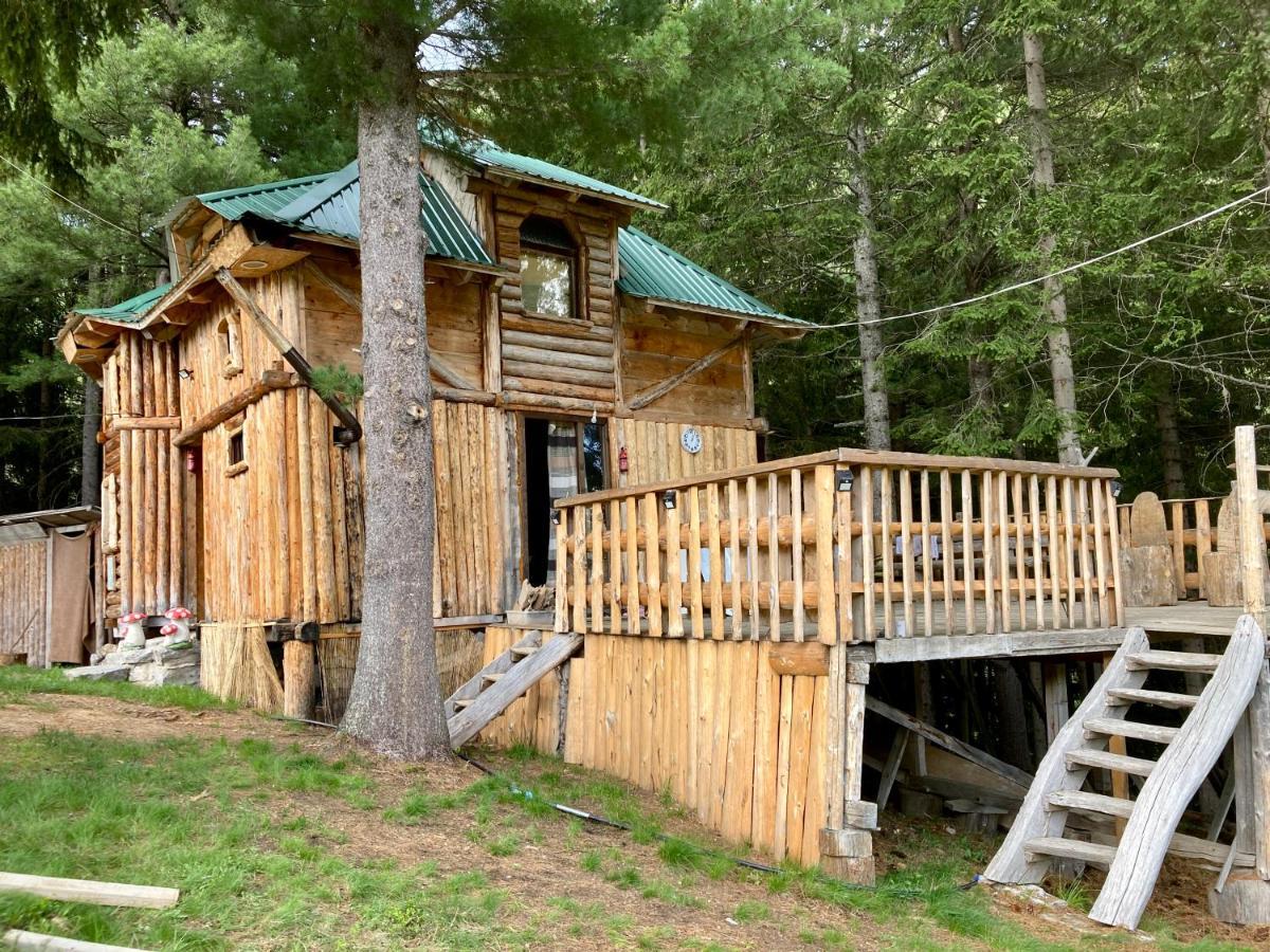 Pinetrees Lodge Plav Dış mekan fotoğraf