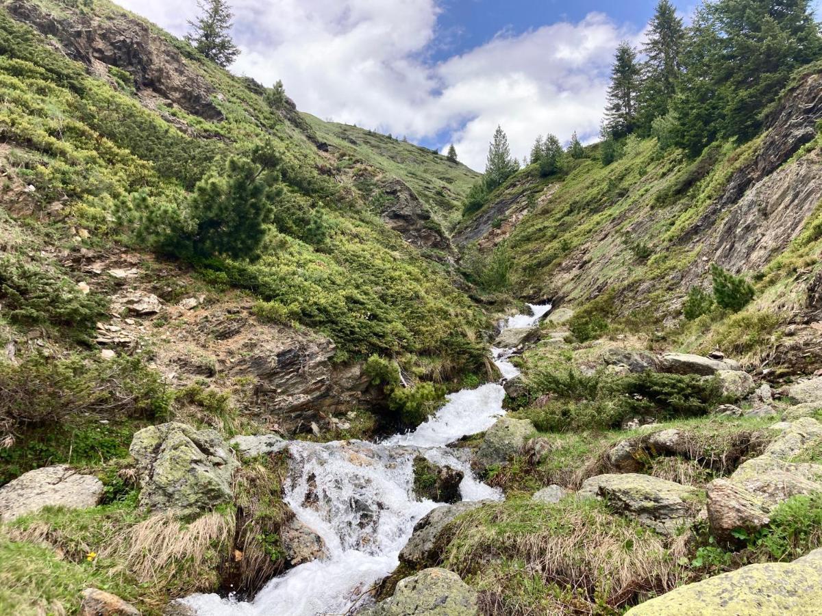 Pinetrees Lodge Plav Dış mekan fotoğraf
