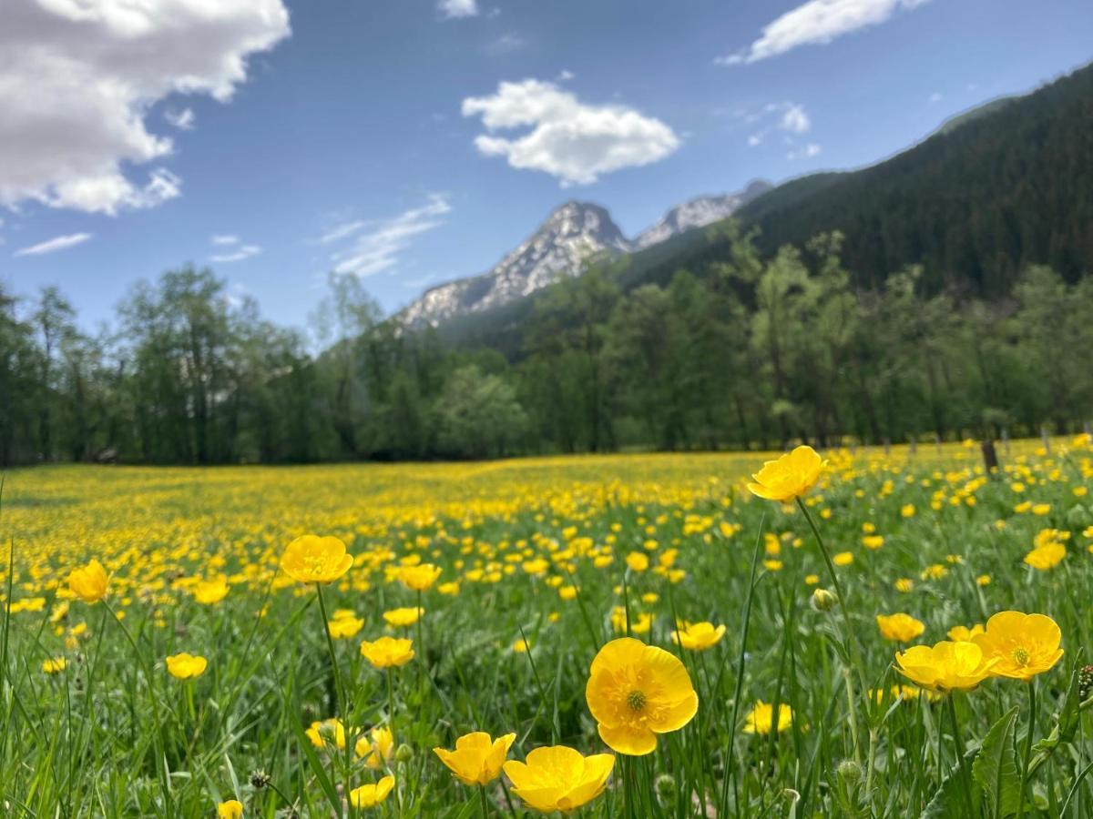 Pinetrees Lodge Plav Dış mekan fotoğraf