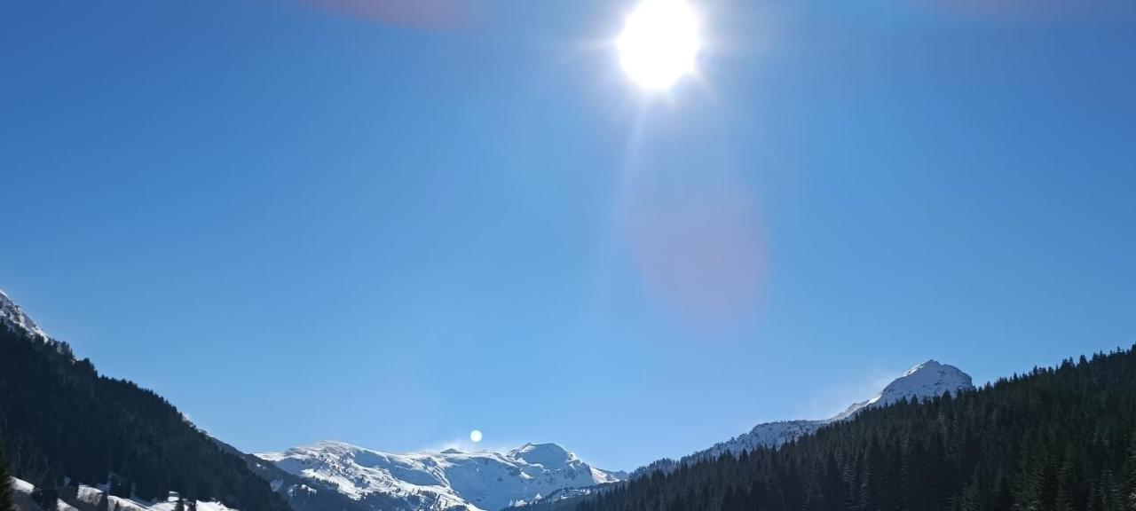 Pinetrees Lodge Plav Dış mekan fotoğraf