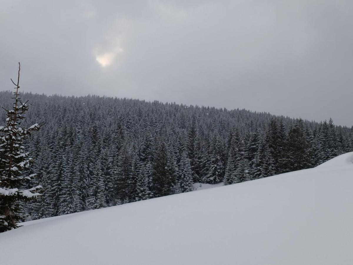 Pinetrees Lodge Plav Dış mekan fotoğraf
