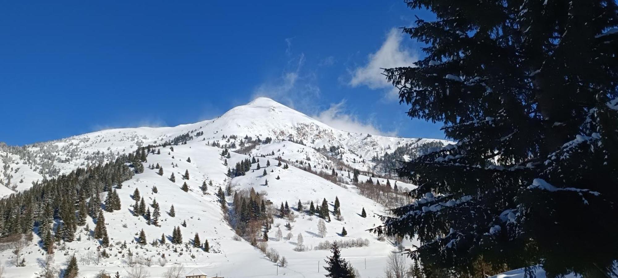 Pinetrees Lodge Plav Dış mekan fotoğraf