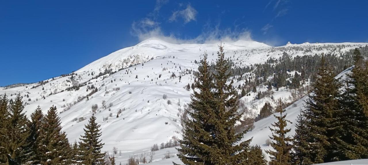 Pinetrees Lodge Plav Dış mekan fotoğraf