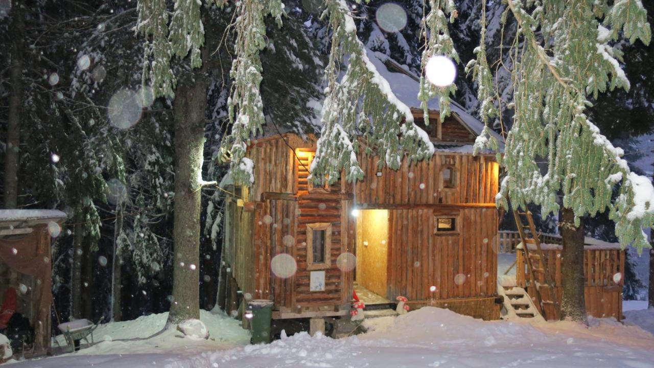 Pinetrees Lodge Plav Dış mekan fotoğraf