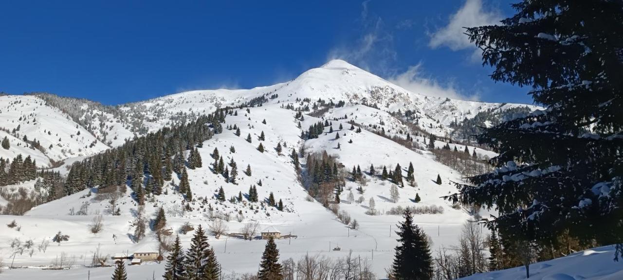 Pinetrees Lodge Plav Dış mekan fotoğraf