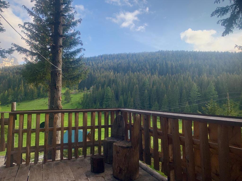 Pinetrees Lodge Plav Dış mekan fotoğraf