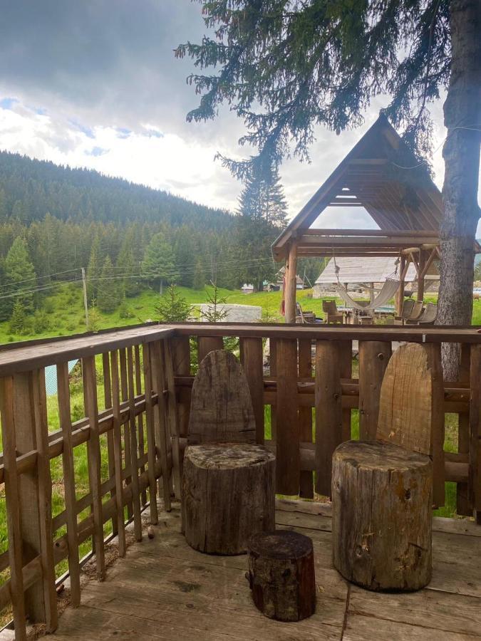 Pinetrees Lodge Plav Dış mekan fotoğraf