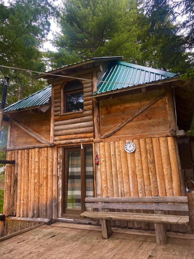 Pinetrees Lodge Plav Dış mekan fotoğraf