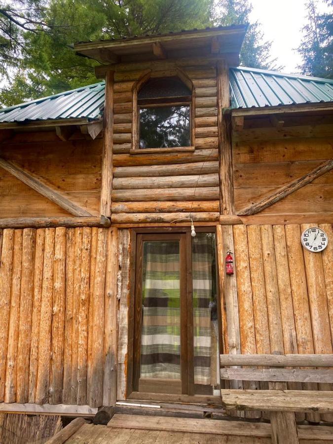 Pinetrees Lodge Plav Dış mekan fotoğraf
